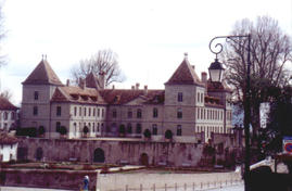 The castle